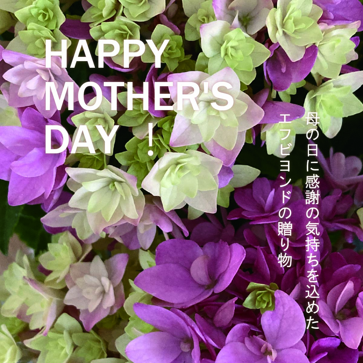 ＼HAPPY MOTHER’S DAY！／母の日にはエフビヨンドでGREENのプレゼントを。