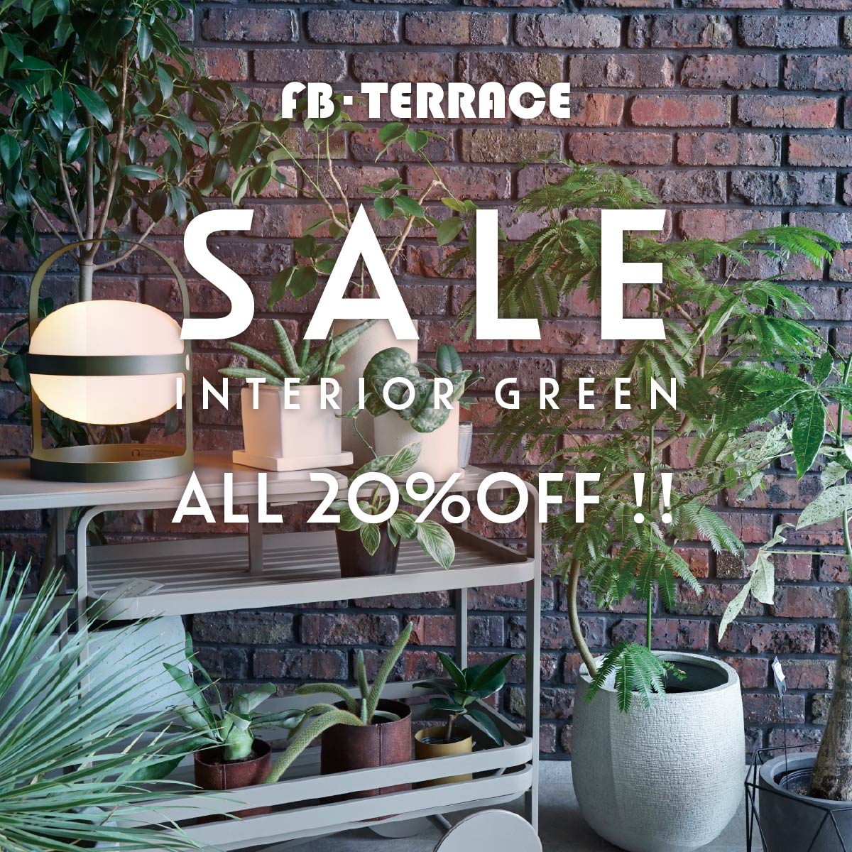 改装リフレッシュオープンに伴う、インテリアグリーン・鉢カバー ALL 20％OFFセール！